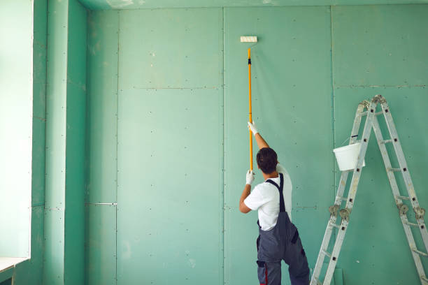Best Black Mold Removal  in Ina, IL