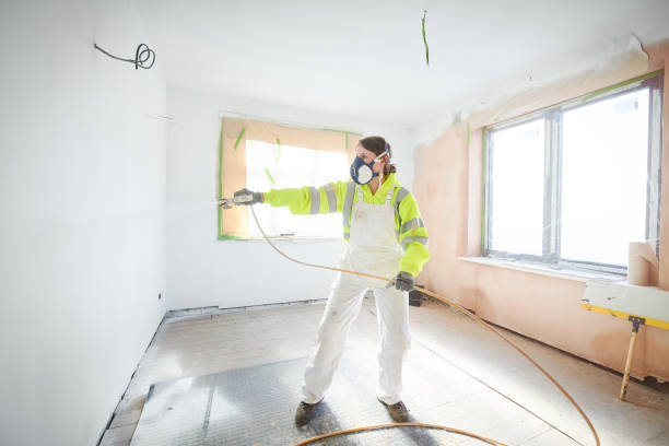 Best Mold Damage Restoration  in Ina, IL