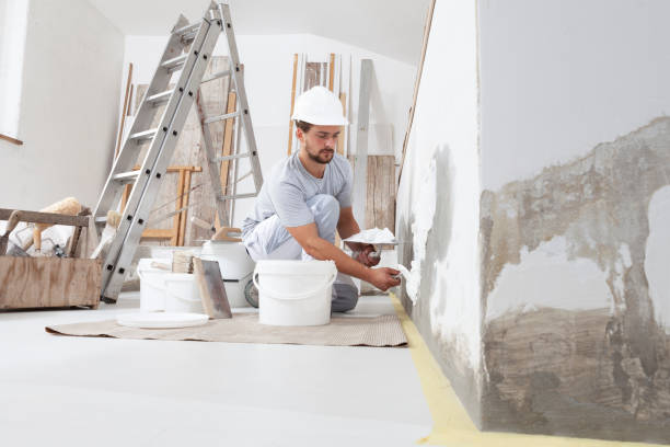 Best Residential Mold Inspection & Testing  in Ina, IL