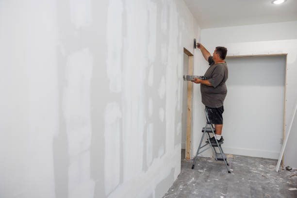 Professional Mold Removal in Ina, IL