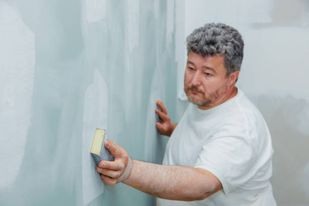 Best Comprehensive Air Testing for Mold Contaminants  in Ina, IL
