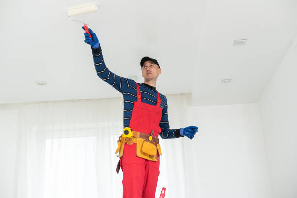 Best Airborne Mold Testing  in Ina, IL