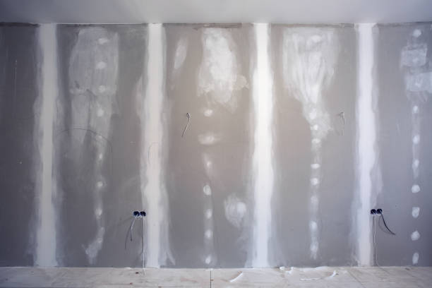 Best Commercial Mold Inspection  in Ina, IL